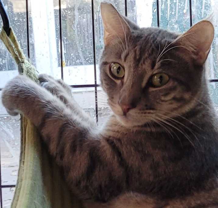 Photo of Noah