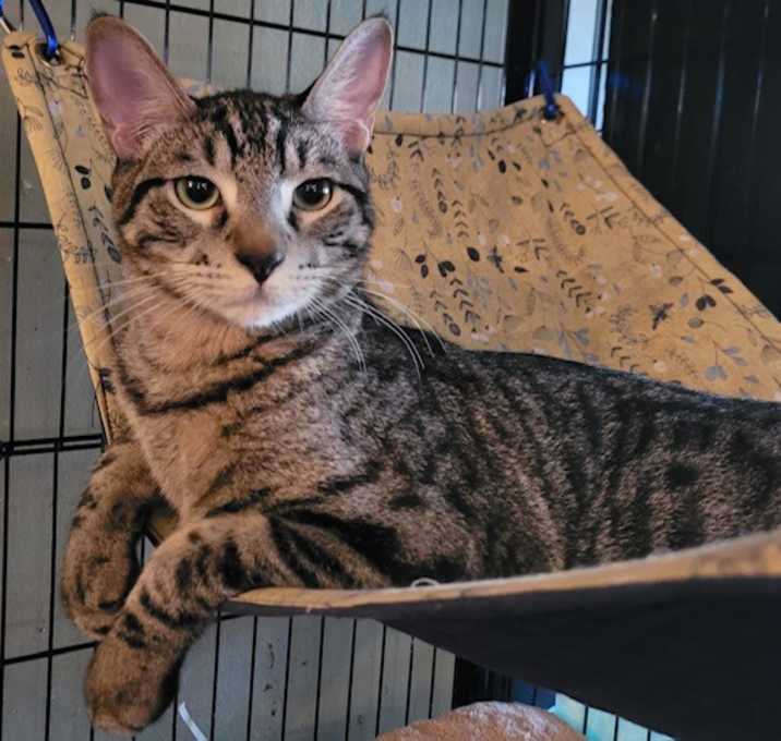Photo of Max