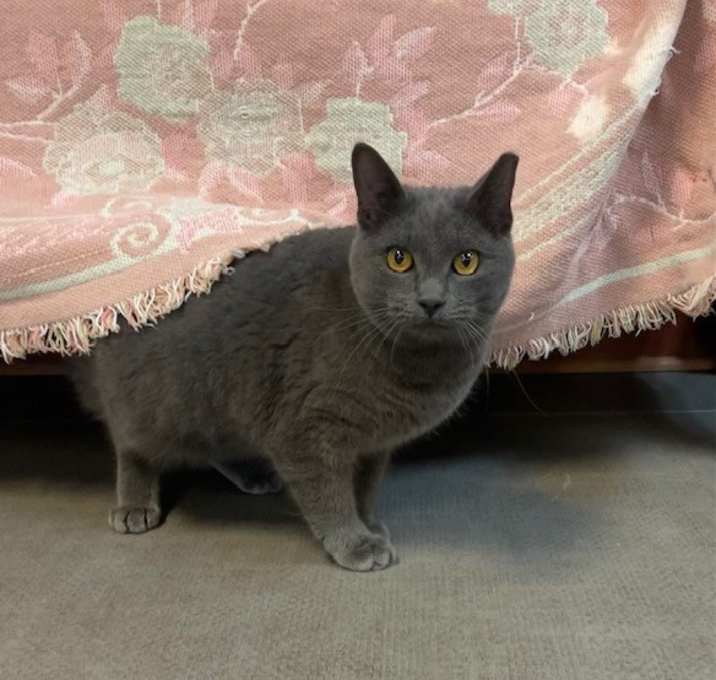 Photo of Elsa