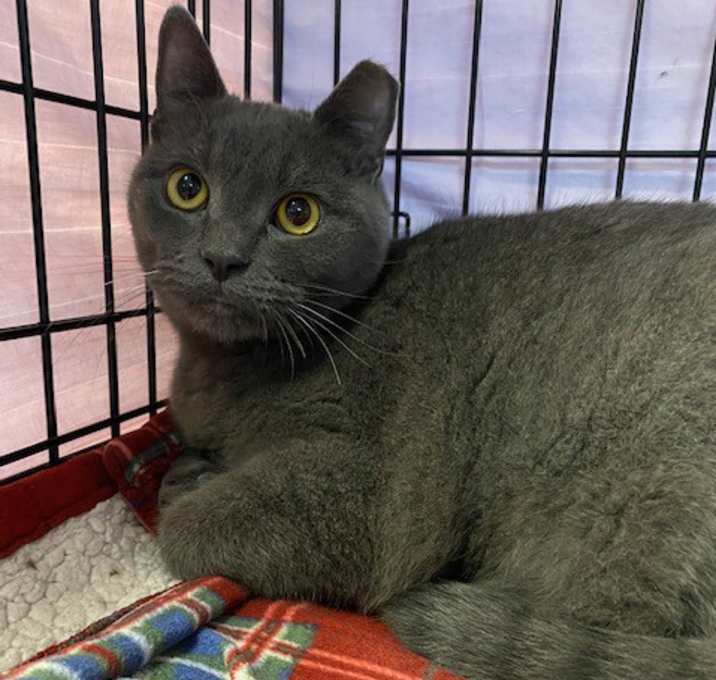 Photo of Olaf