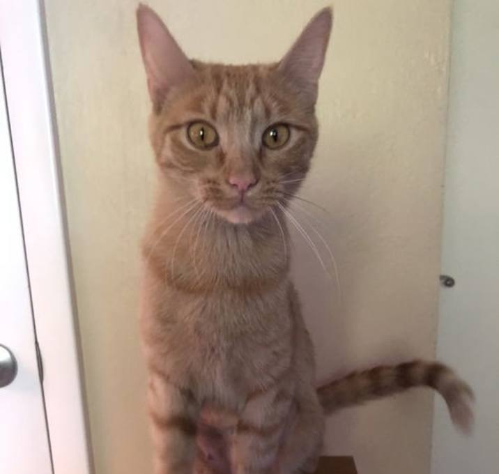 Photo of Athena