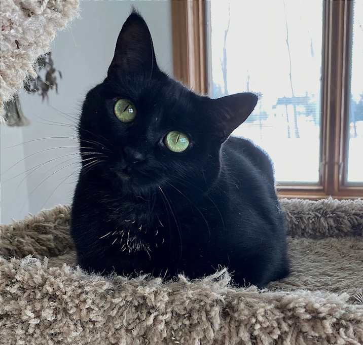 Photo of Ember