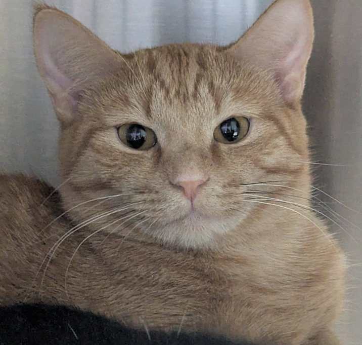 Photo of Cassidy