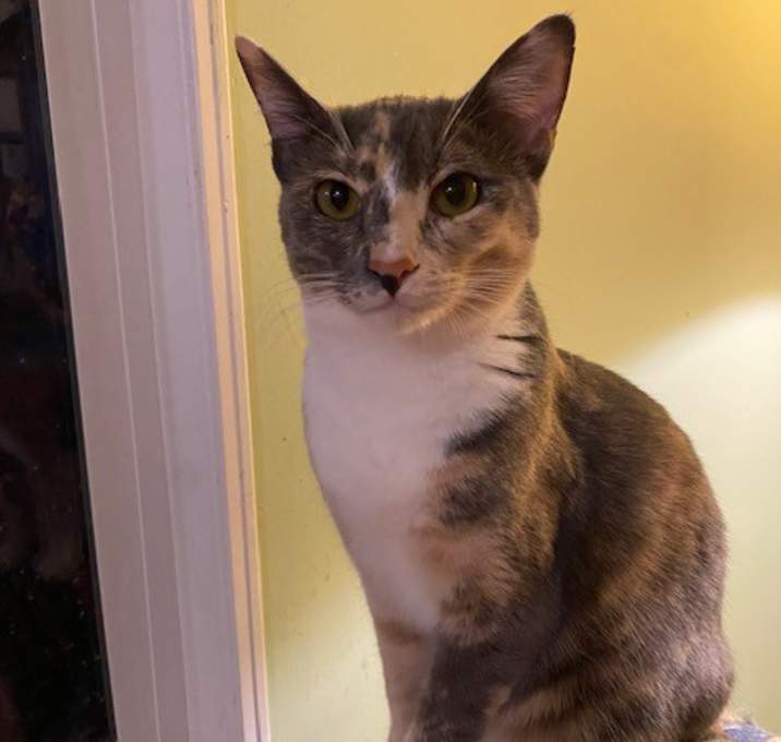 Photo of Mabel