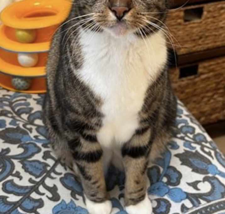 Photo of Abby