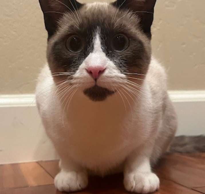 Photo of Elsa
