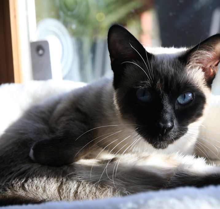Photo of Ana