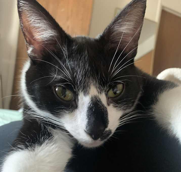 Photo of Finley