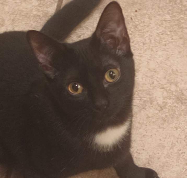 Photo of Missy
