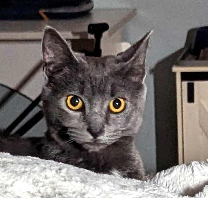 Photo of Swayze