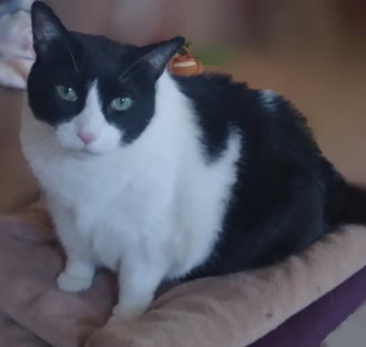 Photo of Nellie