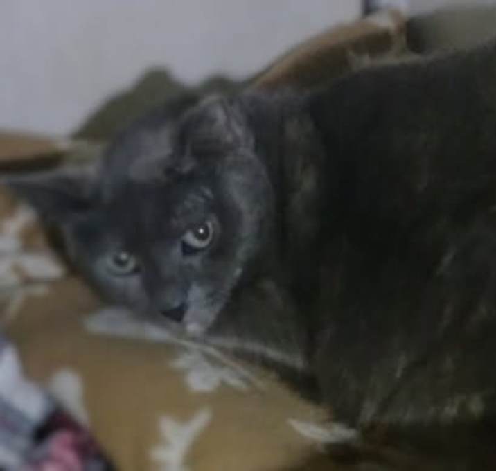 Photo of Mattie