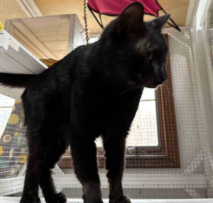 Photo of Melvin