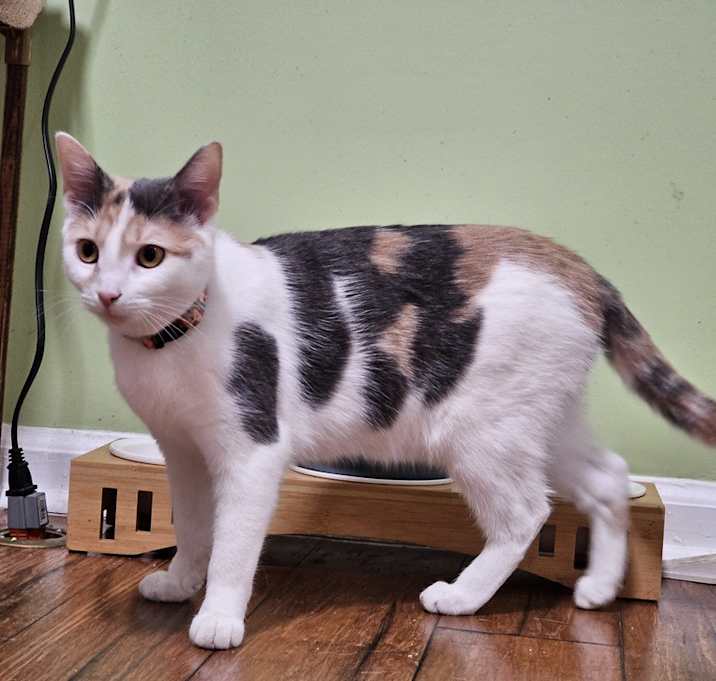 Photo of Maggie