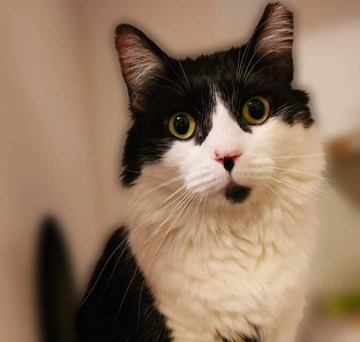 Photo of Sabrina