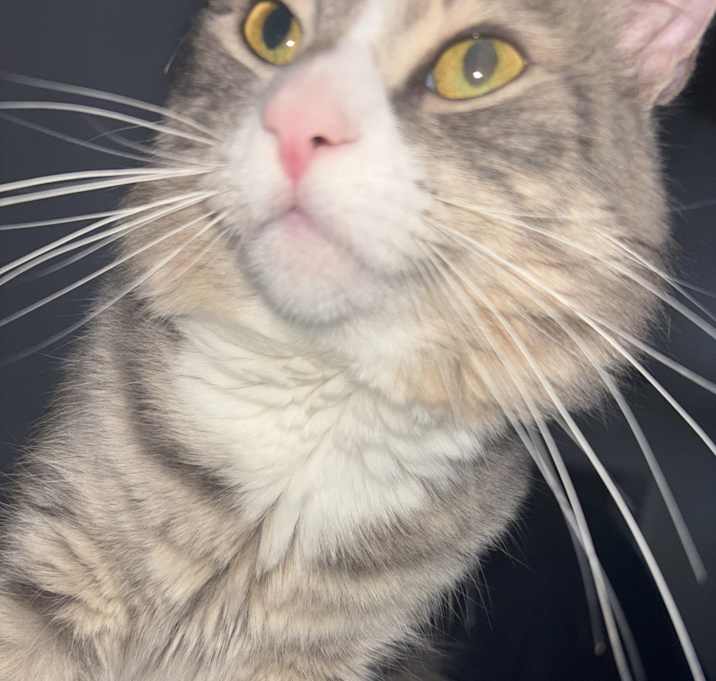 Photo of Eros