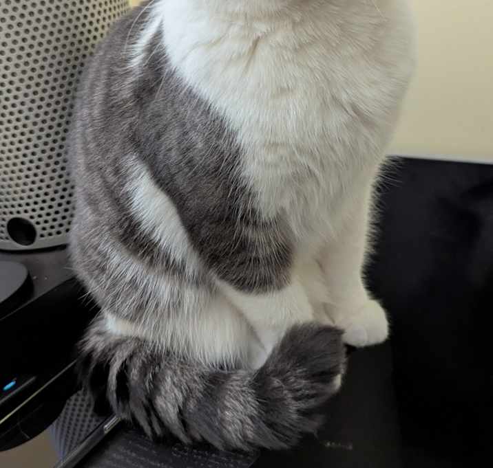 Photo of Munchkin