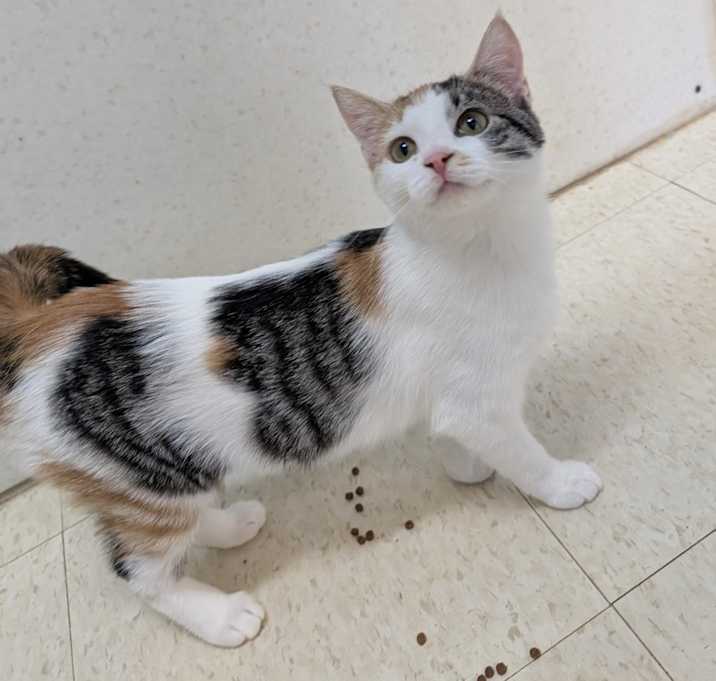 Photo of Beezus