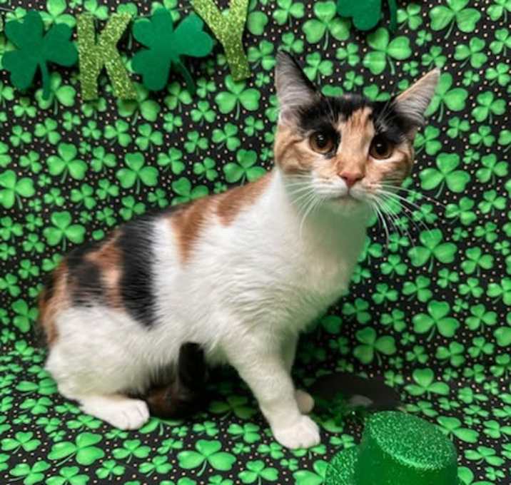 Photo of Freya