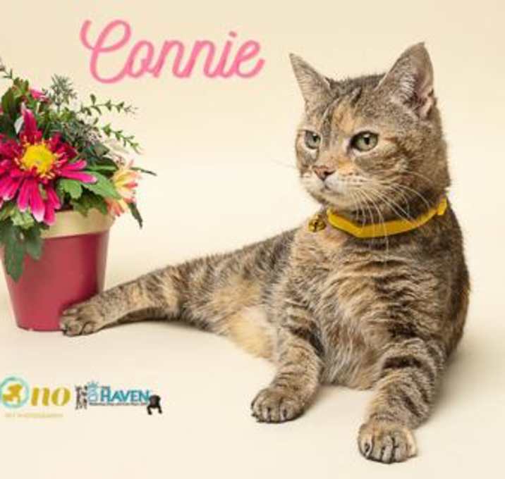 Photo of Connie