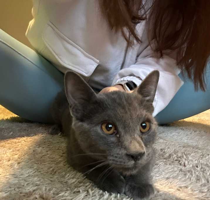 Photo of Hunter