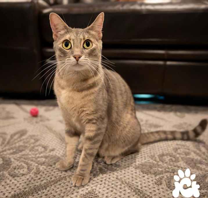Photo of Missy