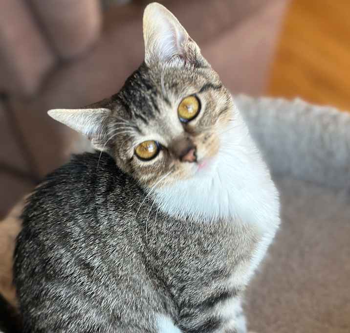 Photo of Jasmine