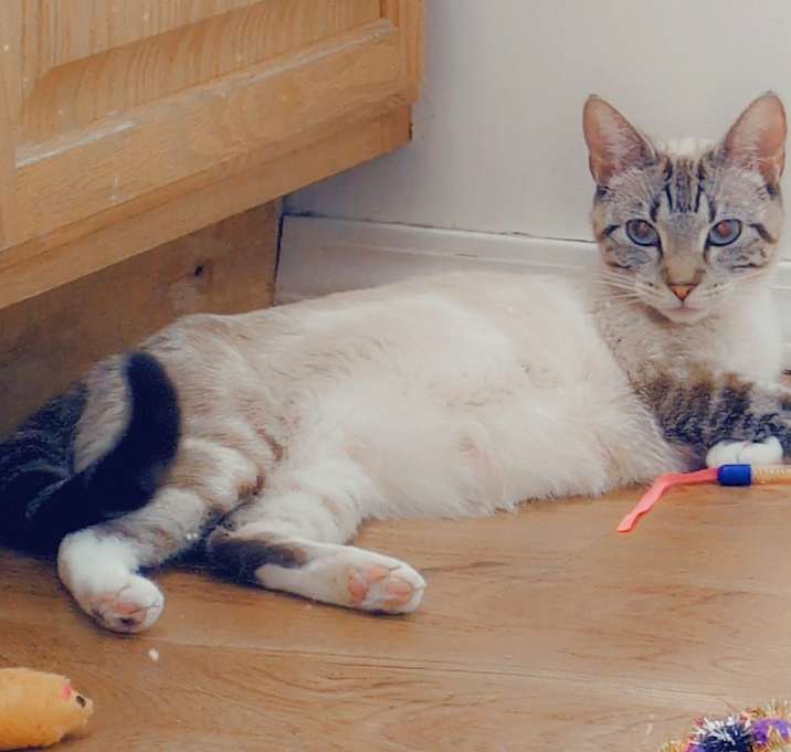 Photo of Aspen