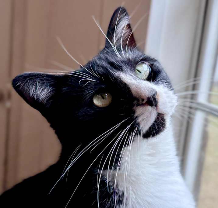 Photo of Luz