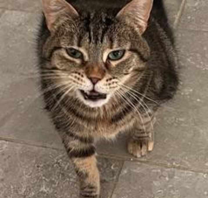 Photo of Matilda