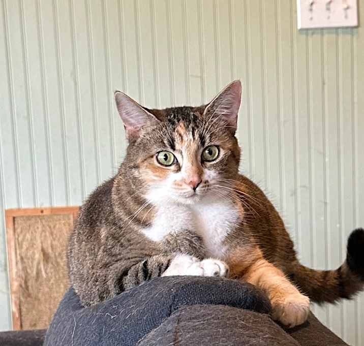 Photo of FRANNIE