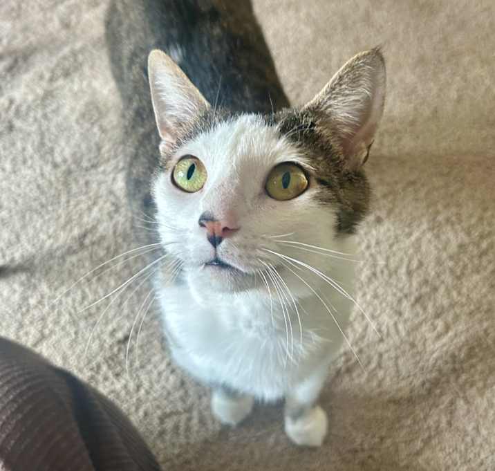 Photo of Holly