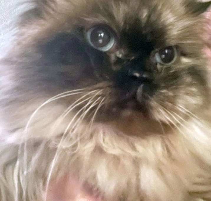 Photo of KAYKAY