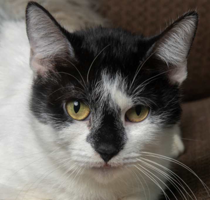 Photo of Arlene