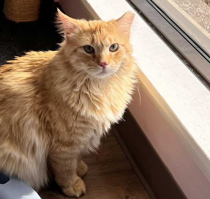 Photo of Victor