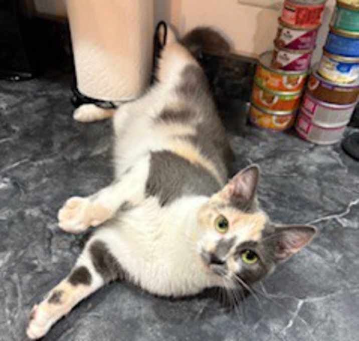 Photo of Serafina