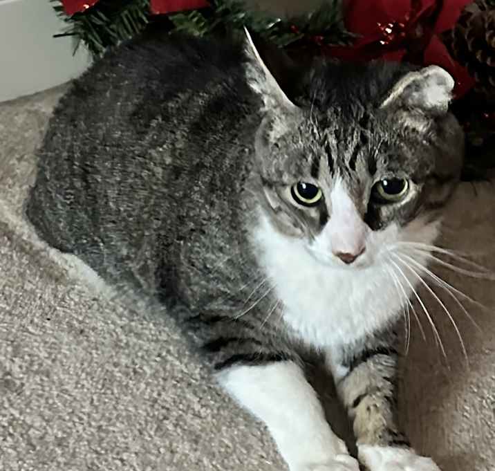 Photo of Oskar