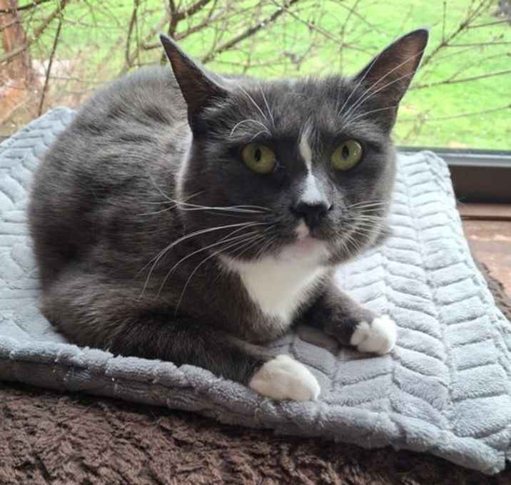 Photo of ShyAnne