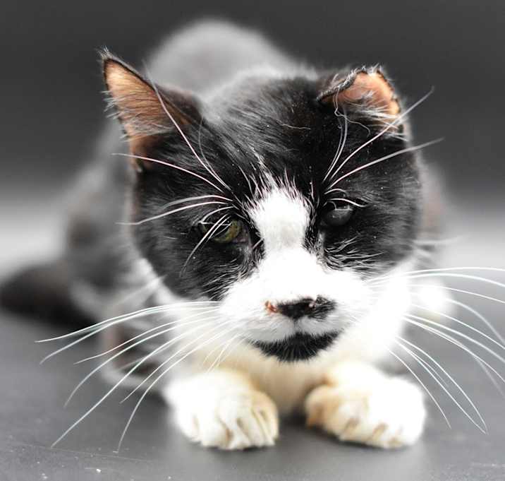 Photo of Finnegan