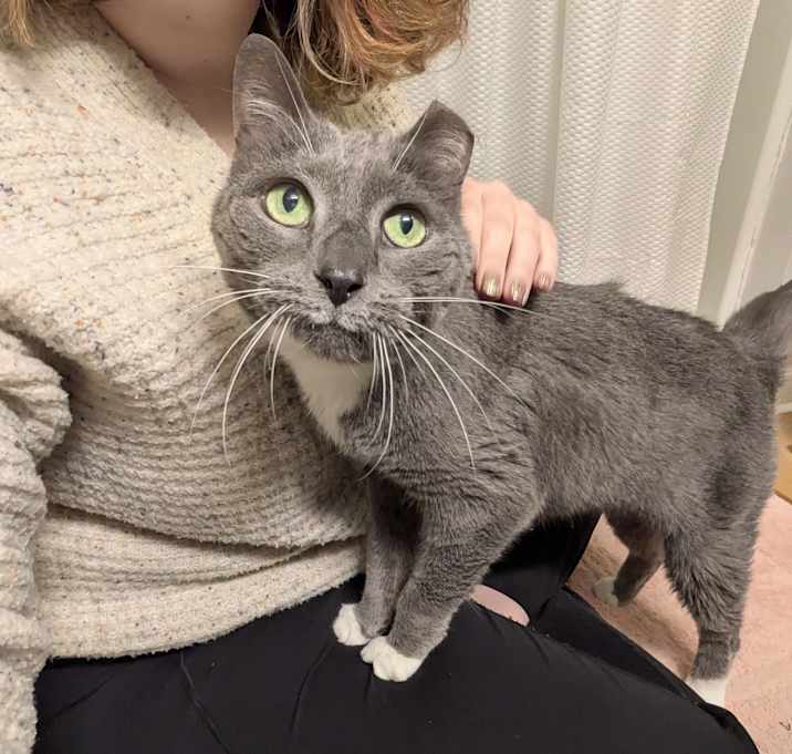 Photo of Winnie