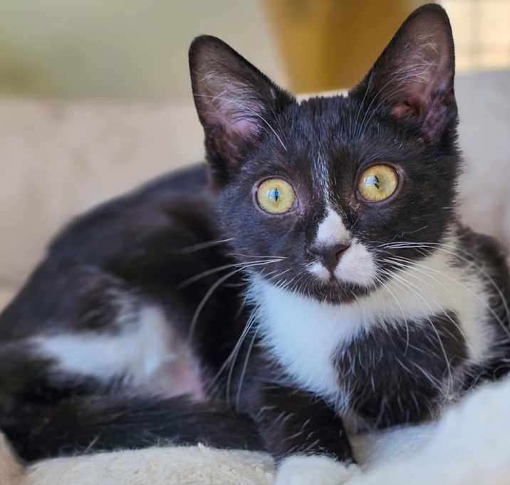Photo of Ripley