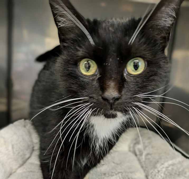 Photo of Bootsie