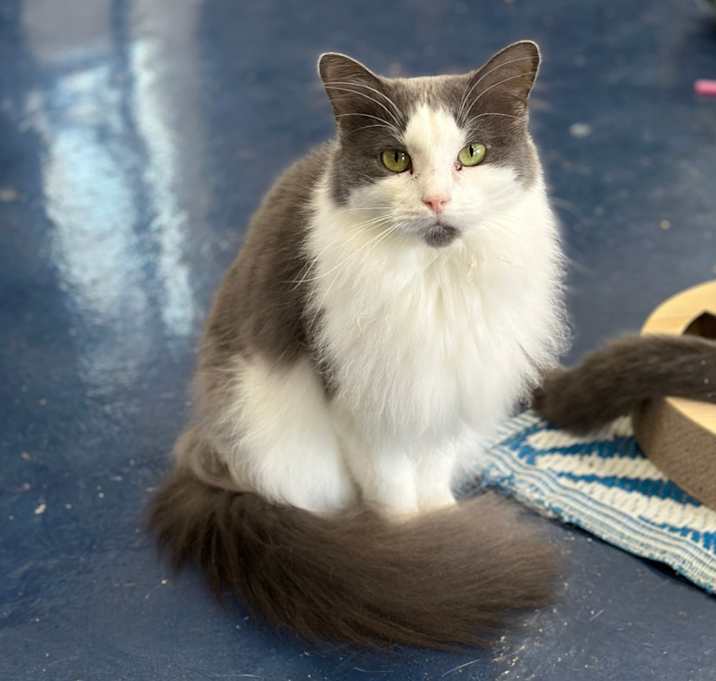 Photo of Lucy Lou