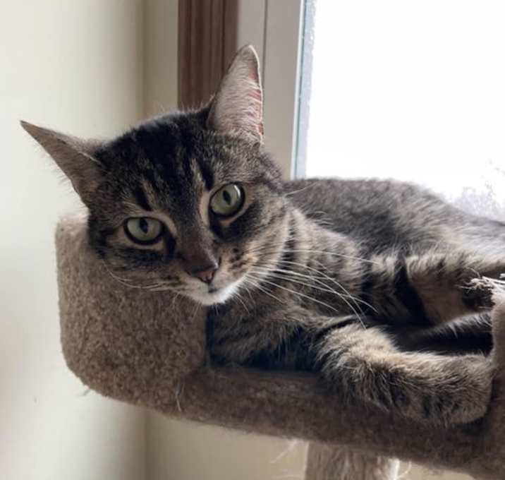 Photo of Dharma
