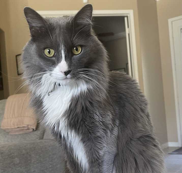 Photo of Loaf