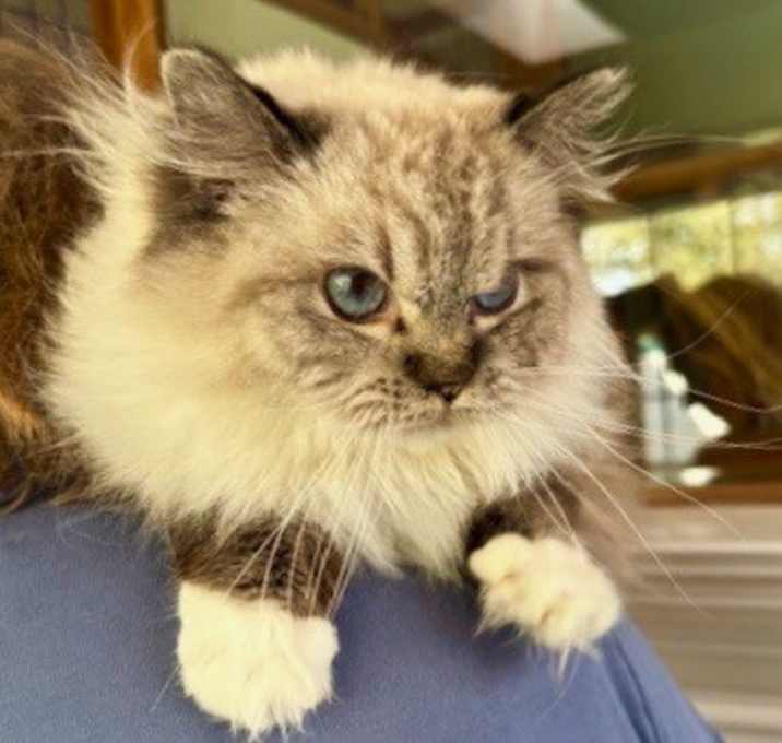 Photo of Bridget