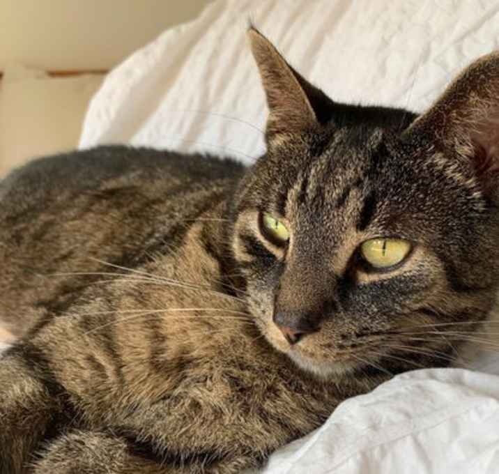 Photo of Luca