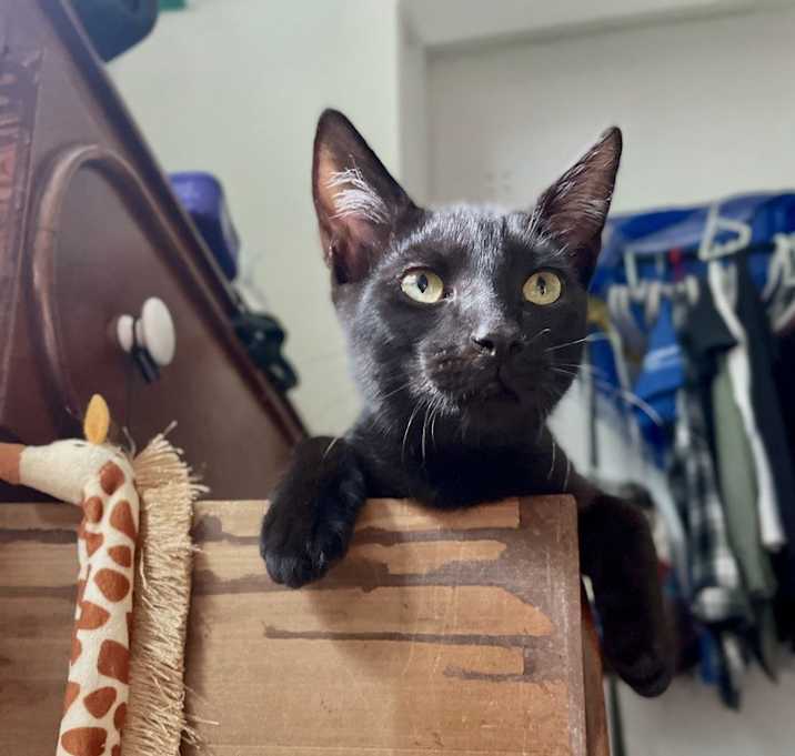 Photo of Uno