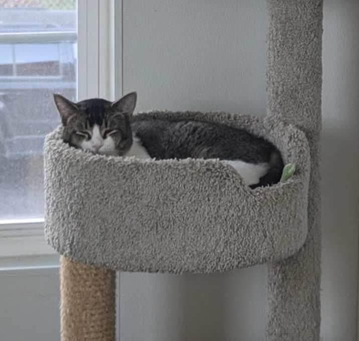 Photo of Jason