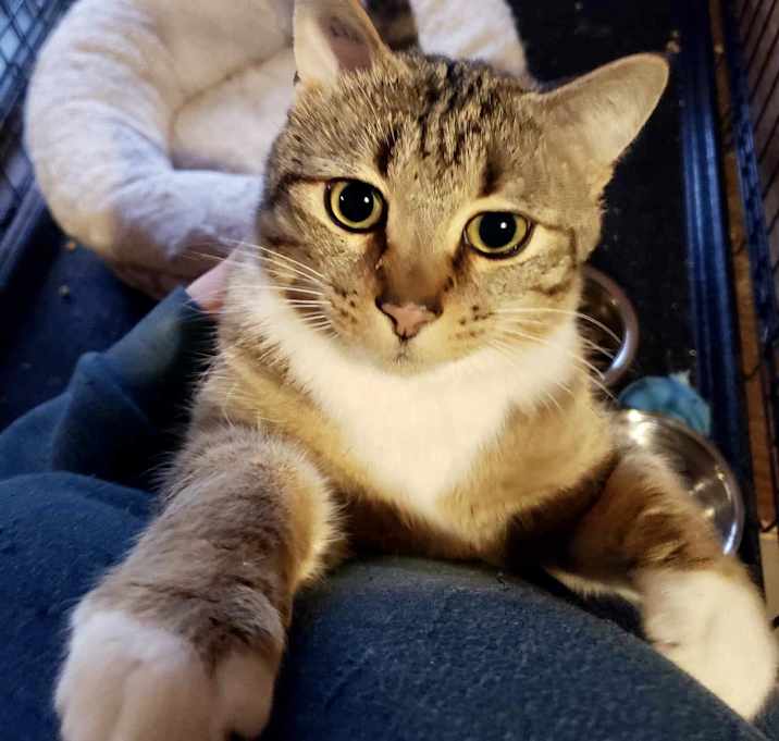 Photo of Samuel